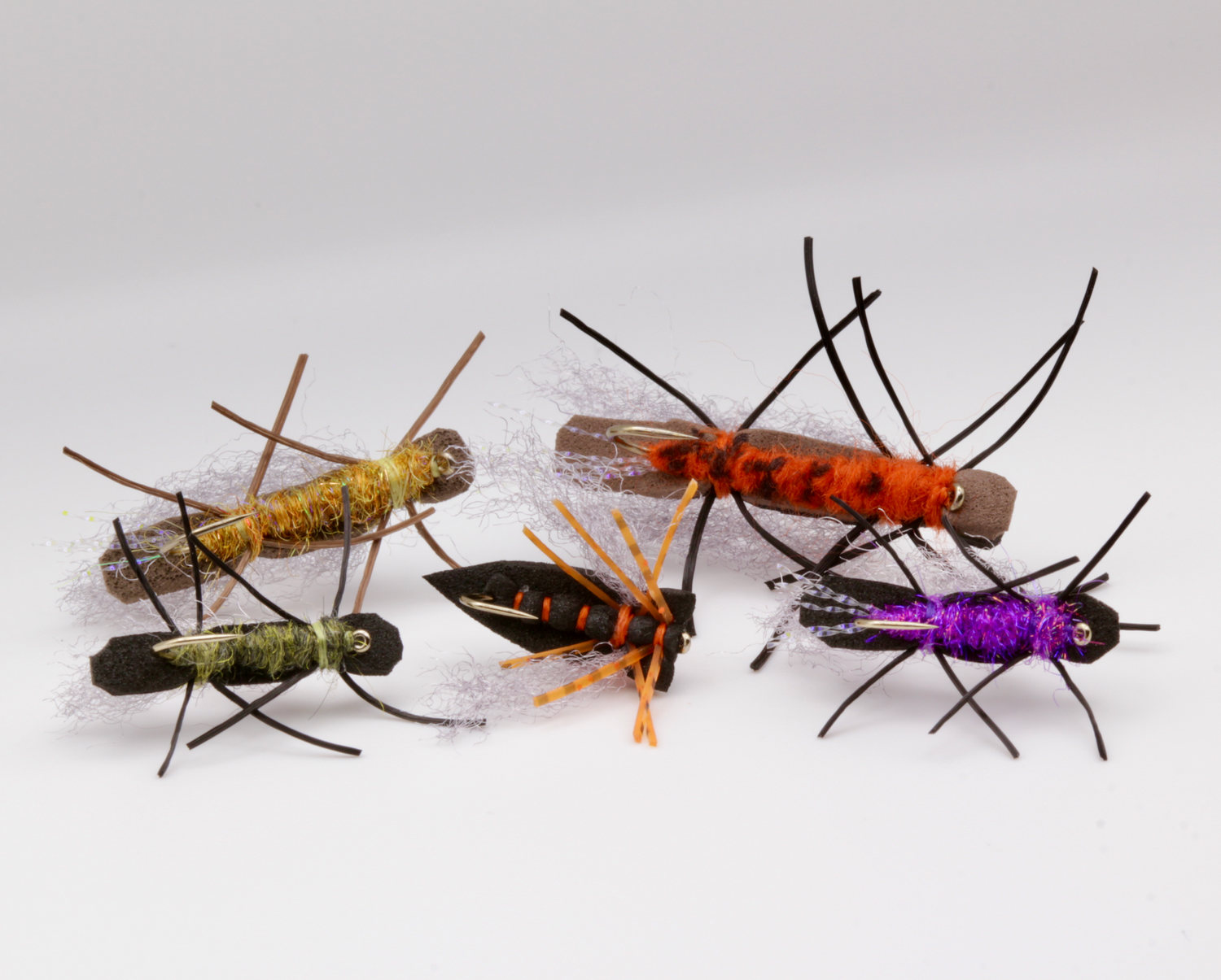 Big Bug Box