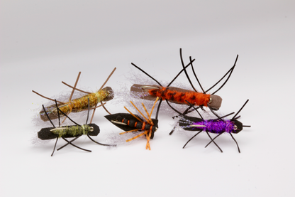 Big Bug Box