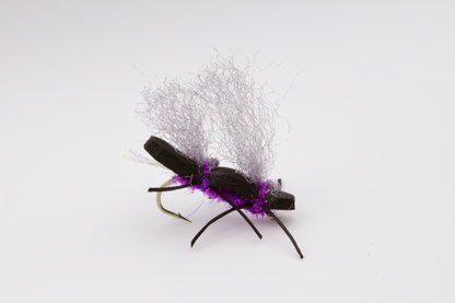 Big Bug Box