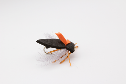 Big Bug Box