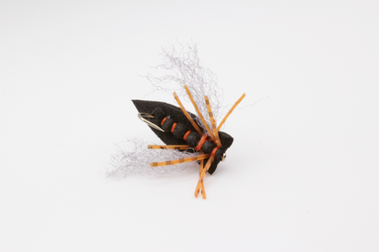 Big Bug Box