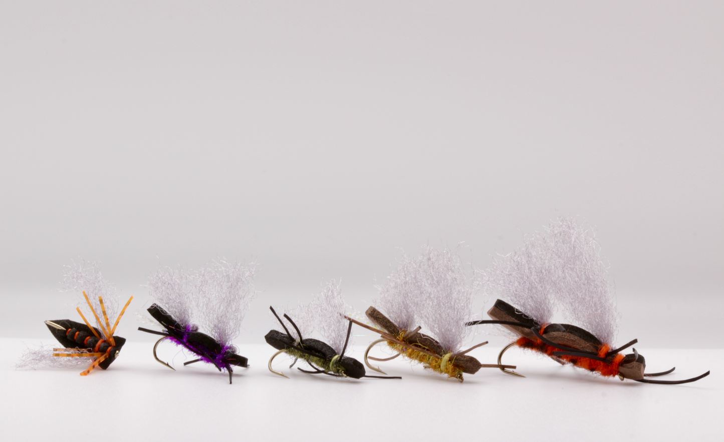 Big Bug Box