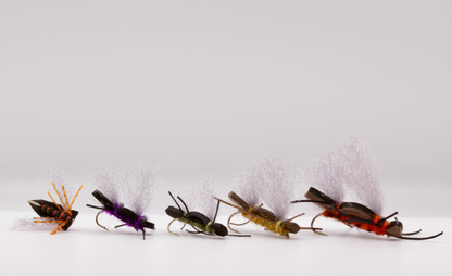 Big Bug Box
